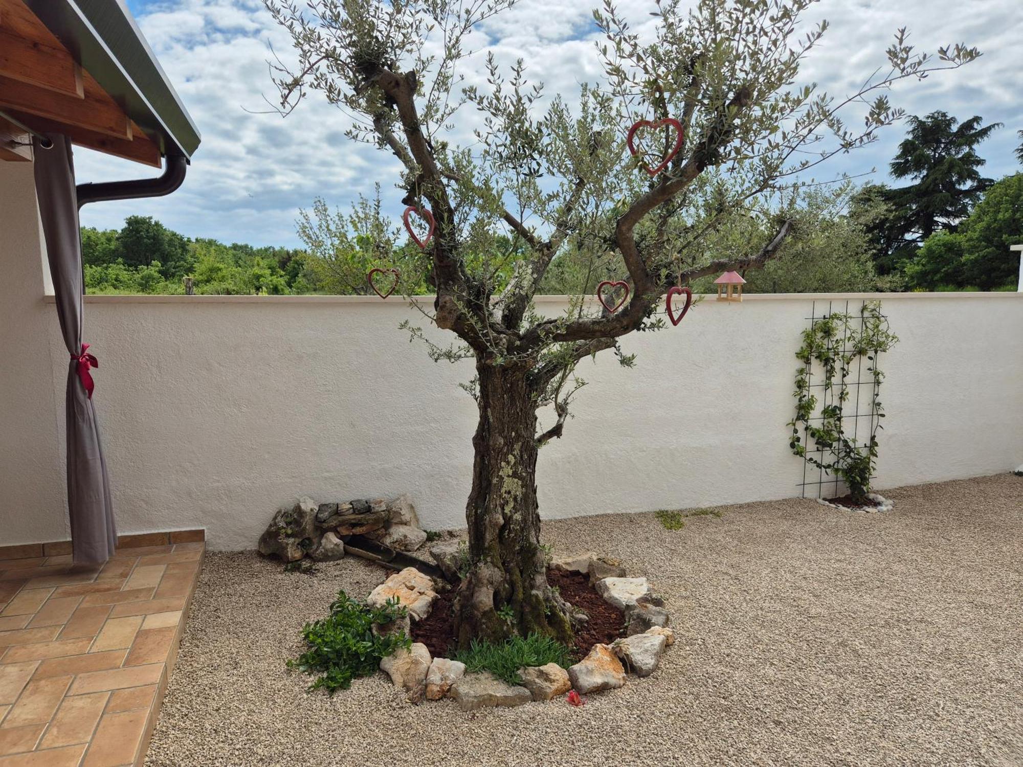 Apartment Vinja Porec - Privat Garden - Whirlpool Bagian luar foto